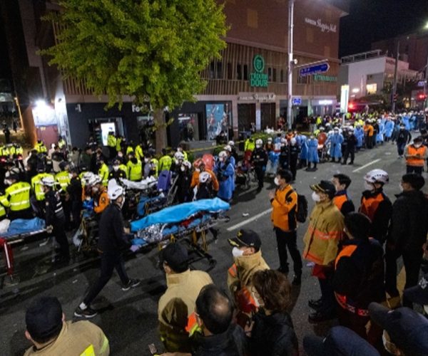 시신 보관 가방 갤러리 04