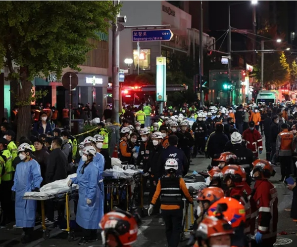 시신 보관 가방 갤러리 05