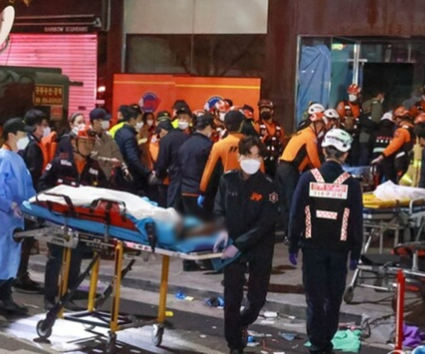 시신 보관 가방 갤러리 07